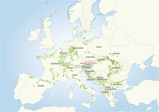 Übersichtskarte Weltnaturerbe Alte Buchenwälder und Buchenurwälder der Karpaten und anderer Regionen Europas_ab_2021
